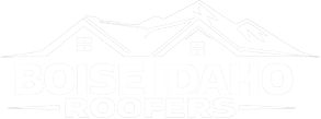 logo footer